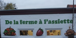 Fresques murales extérieures : possibilités et tendances 2015