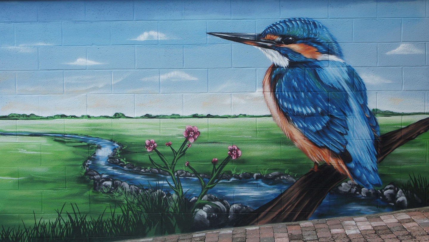 Cas concret de fresque murale extérieure à Yvoir, près de Namur