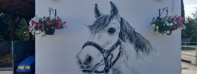 Fresque murale représentant un cheval à Jemeppe-sur-Sambre