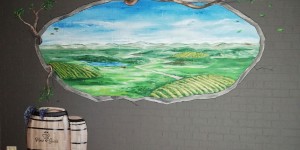 Trompe-l’œil mural pour créer de la profondeur en Wallonie